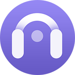 AudiCable Music One