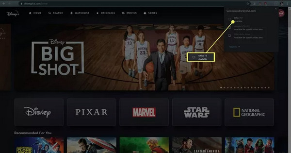 cast disneyplus on pc